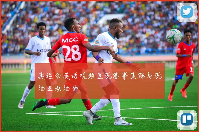 奥运会英语视频呈现赛事集锦与现场互动场面